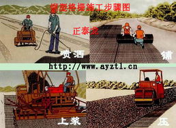 鋼塑網(wǎng)與土工格柵 廣東東莞礦用產(chǎn)品與河南安陽(yáng)正泰龍應(yīng)用解析
